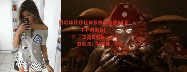 ПСИЛОЦИБИНОВЫЕ ГРИБЫ Нея