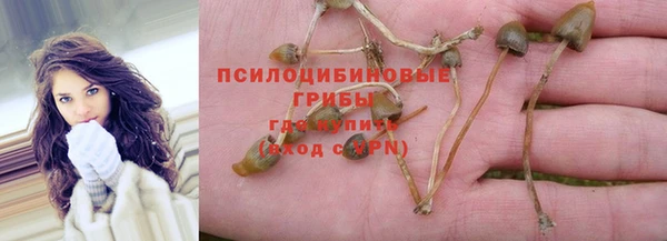 ПСИЛОЦИБИНОВЫЕ ГРИБЫ Нея