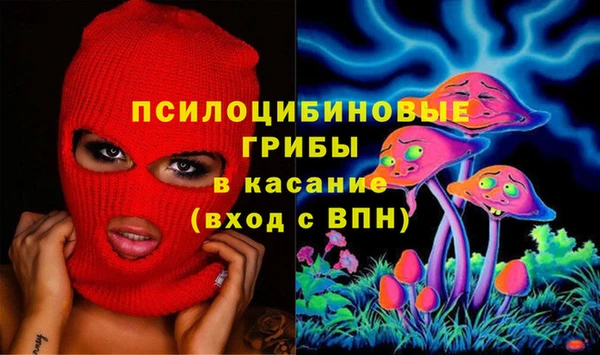 ПСИЛОЦИБИНОВЫЕ ГРИБЫ Нея