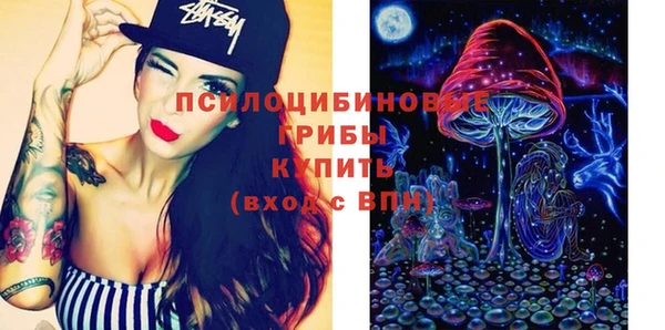 ПСИЛОЦИБИНОВЫЕ ГРИБЫ Нея